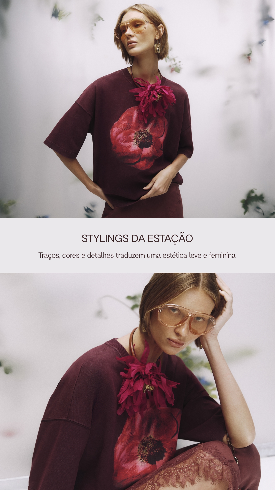 Galeria Botânica - Page 7